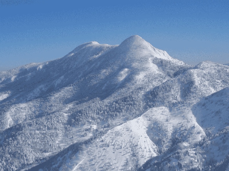 西柚色试管（香水试管小样没有）——